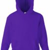 16.2043 - F.O.L. - Classic Kids Hooded Sweat
