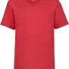 16.1033 - F.O.L. - Kids Valueweight T