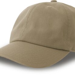 33.0242 - Atlantis - Dad Hat-S